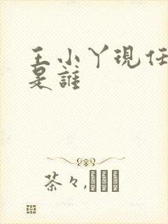 王小丫现任老公是谁封面