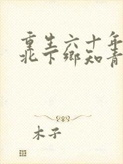 重生六十年代东北下乡知青