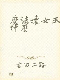 魔法坏女巫讲的什么