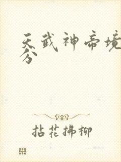 天武神帝境界划分