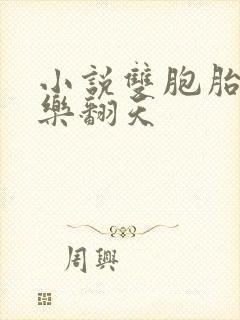 小说双胞胎姐妹乐翻天