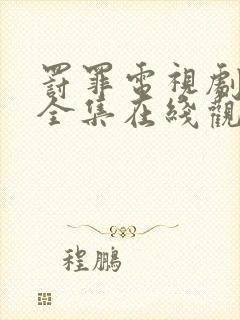 罚罪电视剧免费全集在线观看高清封面