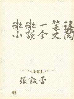 微微一笑很倾城小说全文阅读