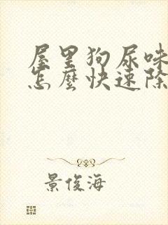 屋里狗尿味太重怎么快速除去