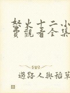 怒火十二小时免费观看全集完整版