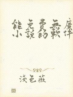能免费无广告看小说的软件