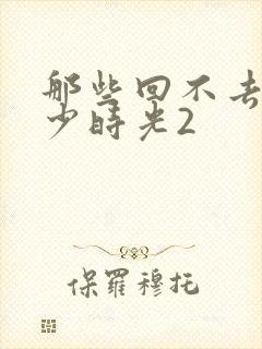 那些回不去的年少时光2