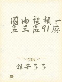 国内视频一区二区三区91麻豆