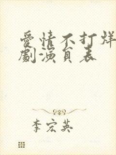 爱情不打烊电视剧演员表