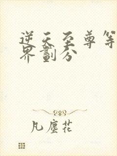 逆天至尊等级境界划分