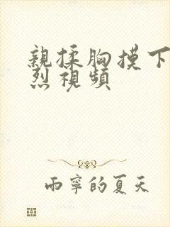 亲揉胸摸下面激烈视频