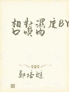 相对湿度BY大口吃肉