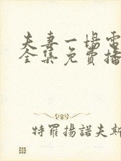 夫妻一场电视剧全集免费播放