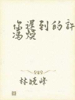 你迟到的许多年冯焕封面