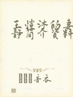 王恺沐的妻子陈静简介资料