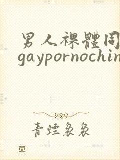 男人裸体同性恋gaypornochinese封面