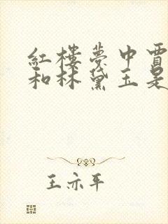 红楼梦中贾宝玉和林黛玉是什么关系