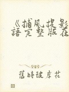 《捕风捉影》国语完整版在线观看