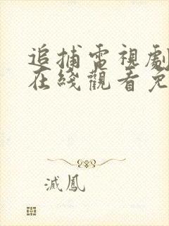 追捕电视剧全集在线观看免费封面