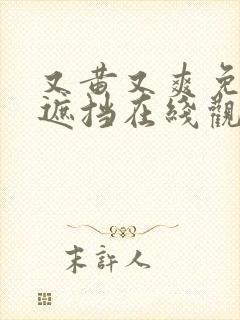 又黄又爽免费无遮挡在线观看