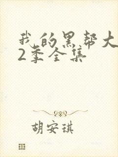我的黑帮大佬第2季全集