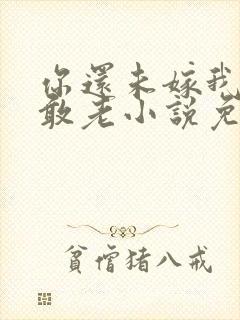你还未嫁我怎么敢老小说免费阅读封面
