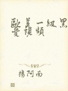 欧美一级黑人造爱视频