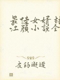 最佳女婿 林羽江颜小说全文免费阅读顶点
