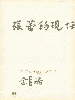 张蕾的现任丈夫
