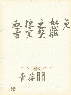 血狼之怒免费观看完整版