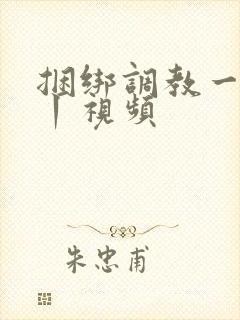 捆绑调教一vk丨视频封面