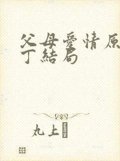 父母爱情原著老丁结局