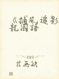 《捕风追影》成龙国语封面