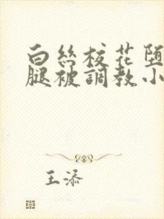 白丝校花堕落玉腿被调教小说封面