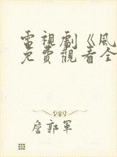 电视剧《风筝》免费观看全集高清封面
