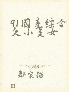 91国产综合久久小美女封面