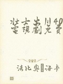 壮士出川40集电视剧免费在线观看