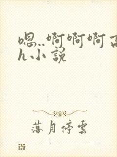 嗯..啊啊啊高h小说封面