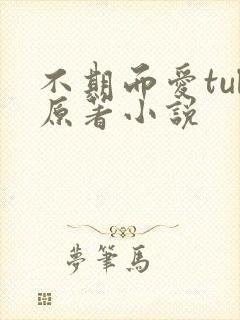 不期而爱tul原著小说封面