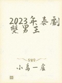 2023年泰剧双男主