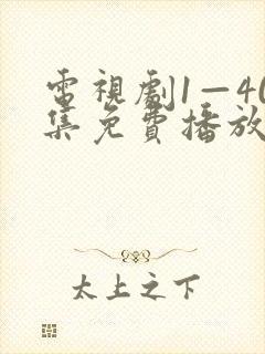 电视剧1—40集免费播放
