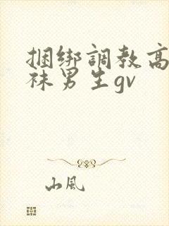 捆绑调教高中白袜男生gv