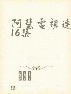 阿慧电视连续剧16集
