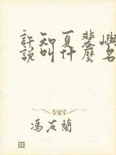 许知夏裴屿安小说叫什么名字