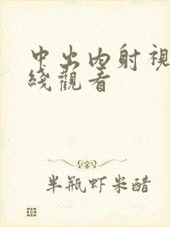 中出内射视频在线观看封面