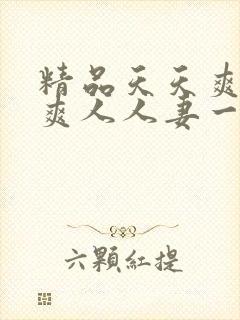 精品天天爽夜夜爽人人妻一区二区