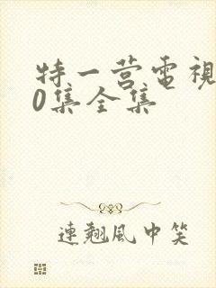 特一营电视剧40集全集封面