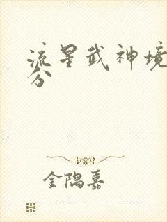 流星武神境界划分