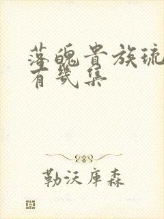 落魄贵族琉璃川有几集