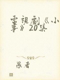 电视剧《小城大事》20集